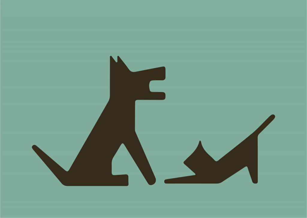 Cães e gatos