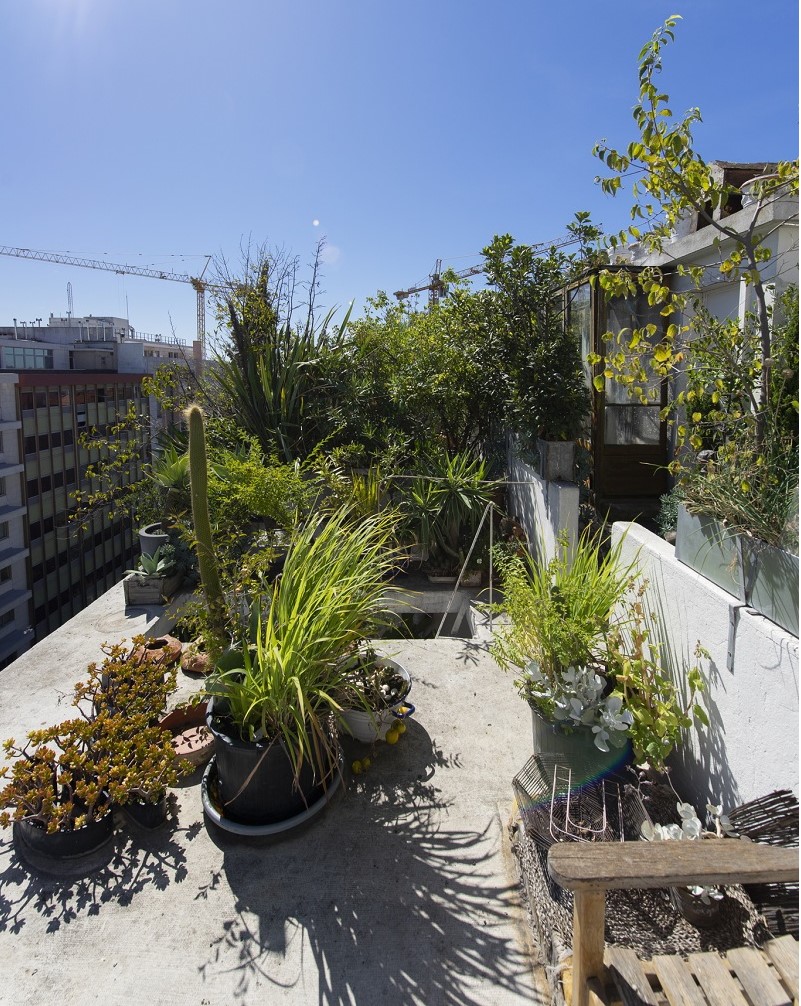 Jardins Abertos