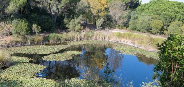 Concurso de Fotografia Ambiental