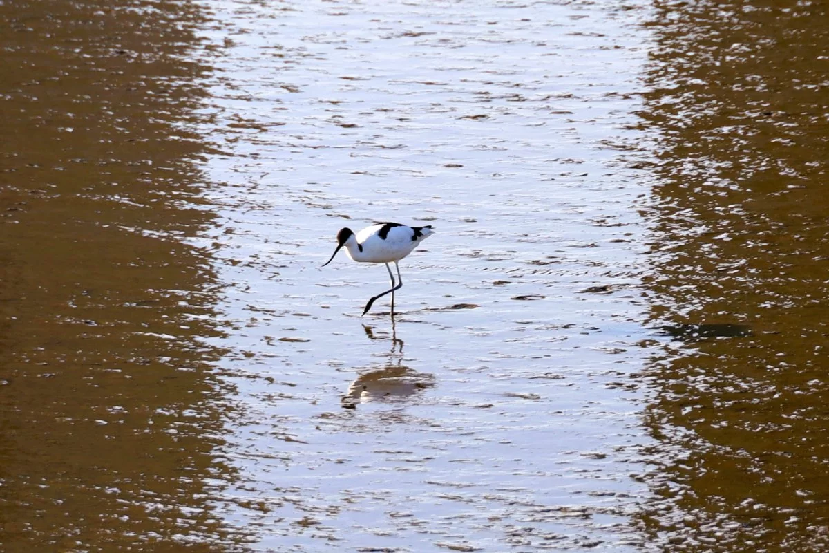 Segunda Rota da Biodiversidade