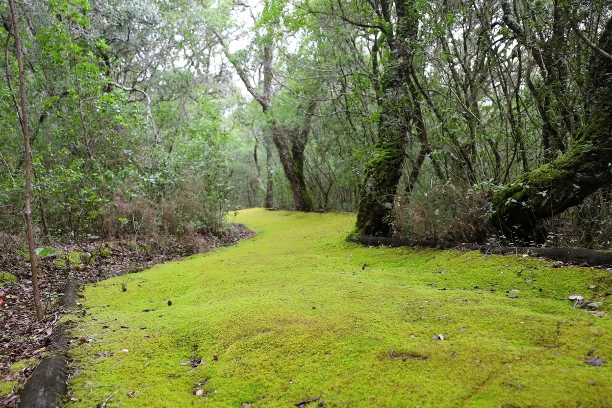 Visitas ao Espaço da Biodiversidade